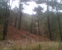 /album/muglakozagackoyu/a1-jpg1/