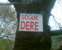 /album/muglakozagackoyu/a4-jpg1/