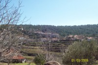 /album/muglakozagackoyu/a12-jpg1/