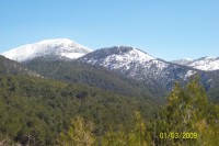 /album/muglakozagackoyu/a13-jpg1/