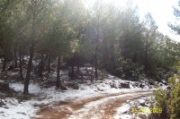 /album/muglakozagackoyu/a15-jpg1/